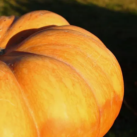 Santa Maria * 토리타디시에나