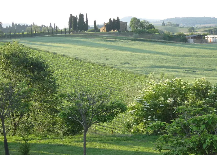 Santa Maria Feriegård Torrita di Siena