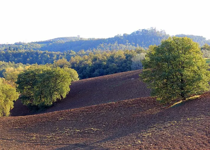 Feriegård Santa Maria Torrita di Siena