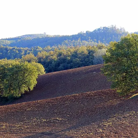 Farm stay Santa Maria Torrita di Siena